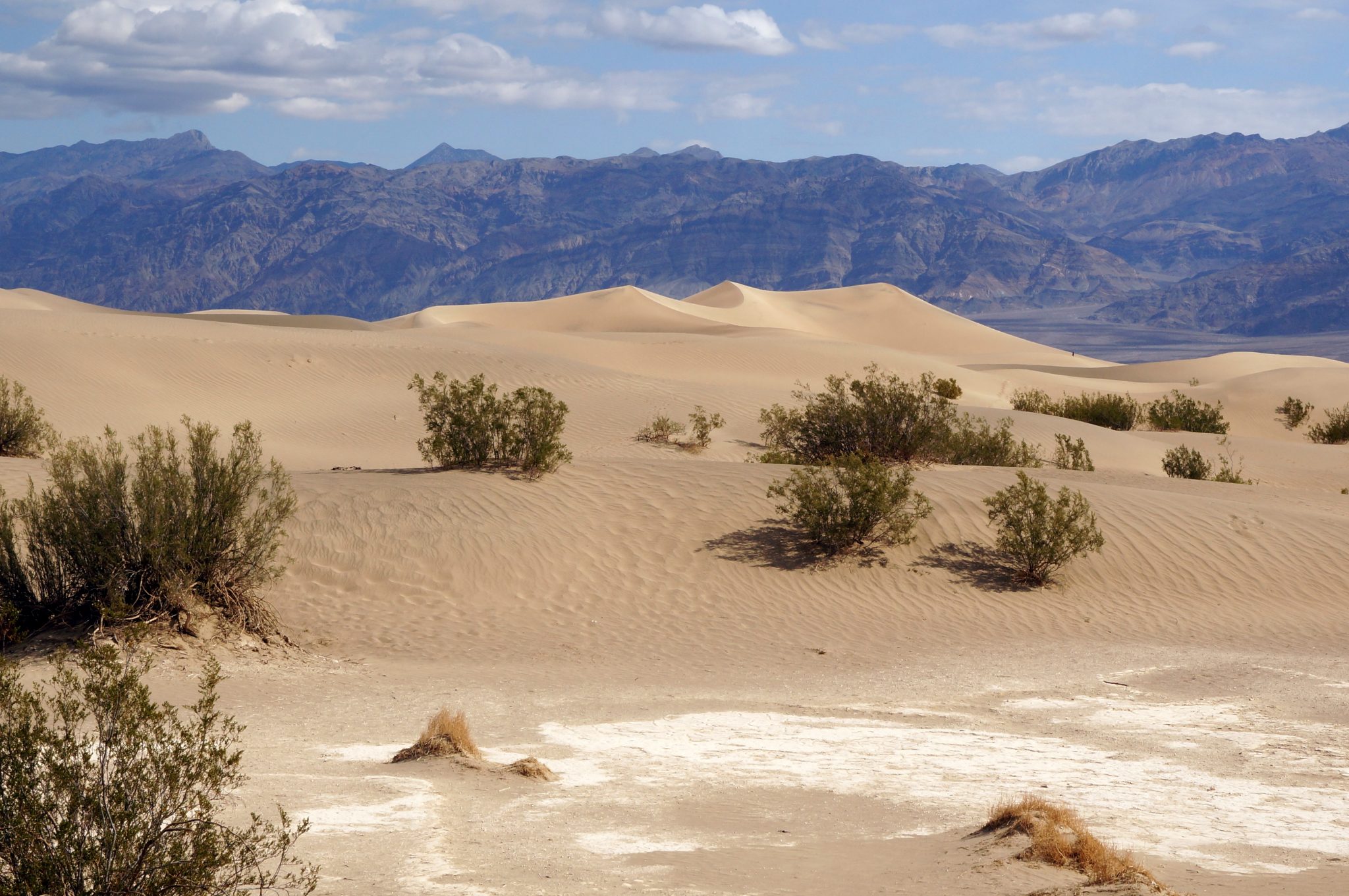 267 D V Sands dunes