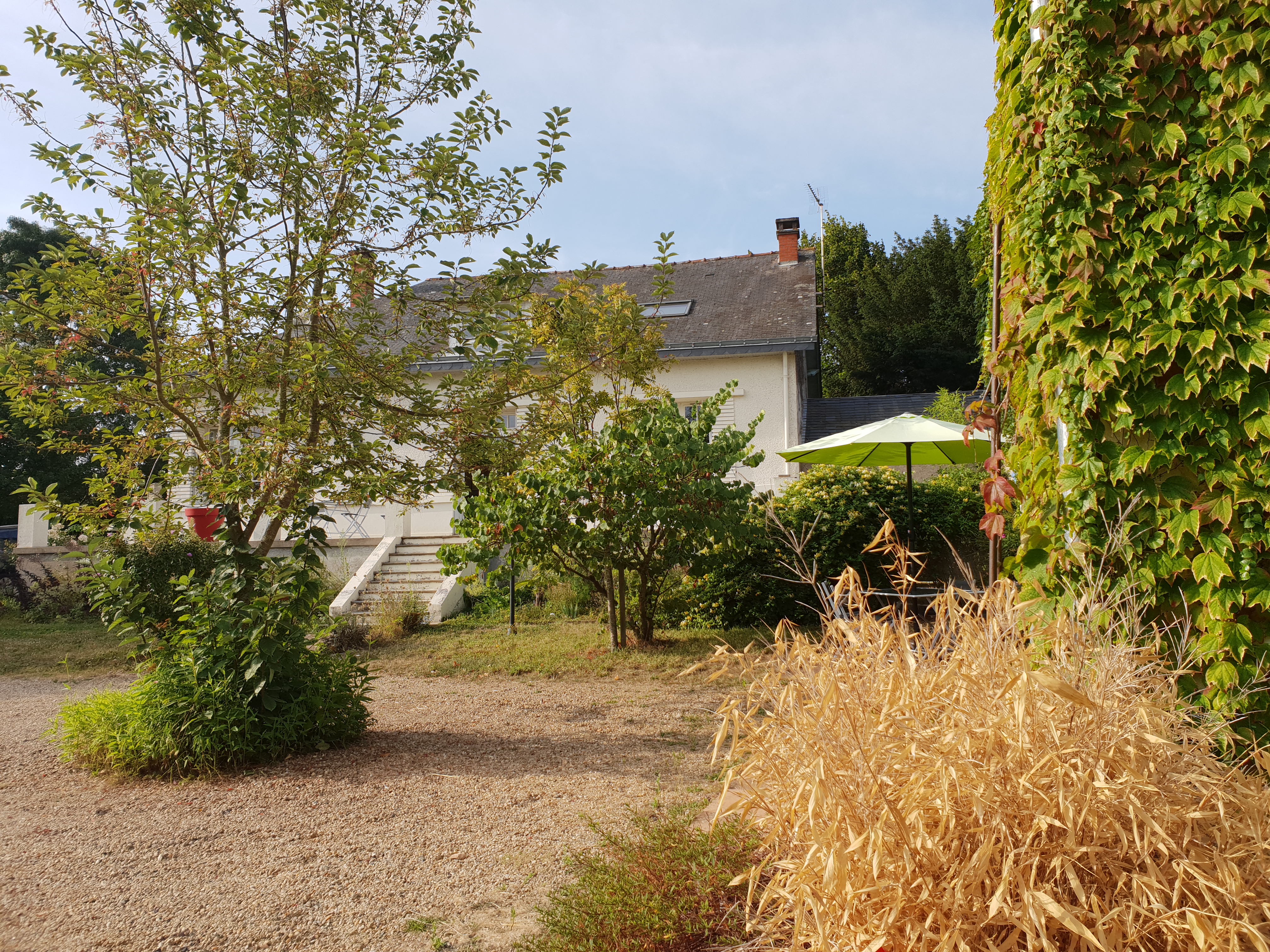Chambre d’hôte à Saumur 